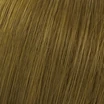 Образец оттенка 7/00