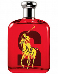 Ralph Lauren&nbsp;&nbsp;|&nbsp;&nbsp;The Big Ponny Red �2