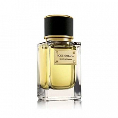 D&G Dolce & Gabbana&nbsp;&nbsp;|&nbsp;&nbsp;Velvet Patchouli