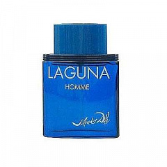 Salvador Dali&nbsp;&nbsp;|&nbsp;&nbsp;Laguna Homme 