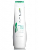 Matrix Biolage SCALPSYNC ������� ����������