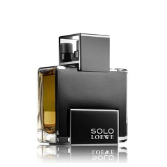 Loewe&nbsp;&nbsp;|&nbsp;&nbsp;Solo Platinum