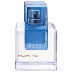 Puma&nbsp;&nbsp;|&nbsp;&nbsp;Flowing Man