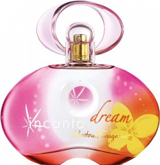 Salvatore Ferragamo&nbsp;&nbsp;|&nbsp;&nbsp;Incanto Dream  