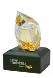 Ramon Molvizar Smart Goldskin