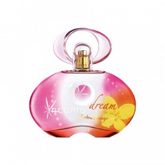 Salvatore Ferragamo&nbsp;&nbsp;|&nbsp;&nbsp;Incanto Dream Gold