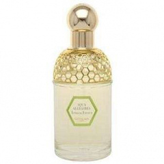 Guerlain&nbsp;&nbsp;|&nbsp;&nbsp;Allegoria Lemon Fresca