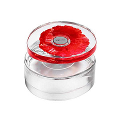 Kenzo&nbsp;&nbsp;|&nbsp;&nbsp;Flower In The Air