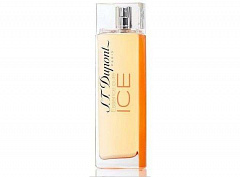 Dupont&nbsp;&nbsp;|&nbsp;&nbsp;Essence Pure Ice Pour Femme