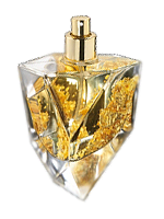 Ramon Molvizar&nbsp;&nbsp;|&nbsp;&nbsp;Goldskin