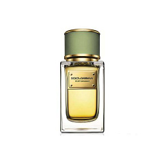 D&G Dolce & Gabbana&nbsp;&nbsp;|&nbsp;&nbsp;Velvet Bergamot